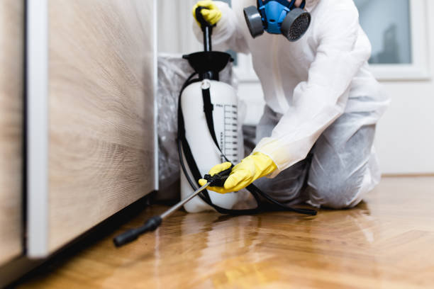 Best Ant Control Services  in Zion, IL