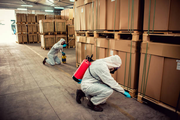 Best Mosquito Control Services  in Zion, IL