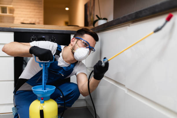 Best Exterminator Services  in Zion, IL