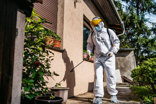 Best Local Pest Control Services  in Zion, IL