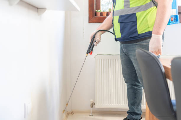 Best Affordable Pest Control Services  in Zion, IL