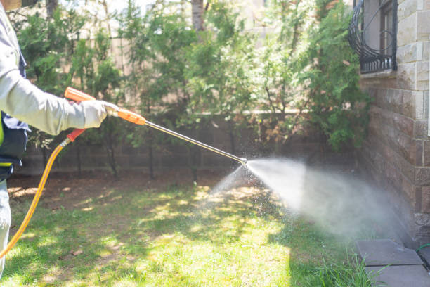 Best Best Pest Control Companies  in Zion, IL