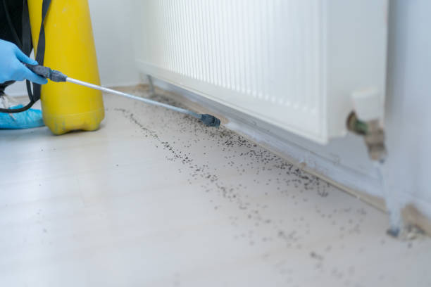 Professional Pest Control in Zion, IL