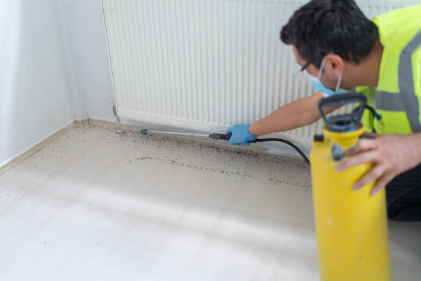 Best Mosquito Control Services  in Zion, IL