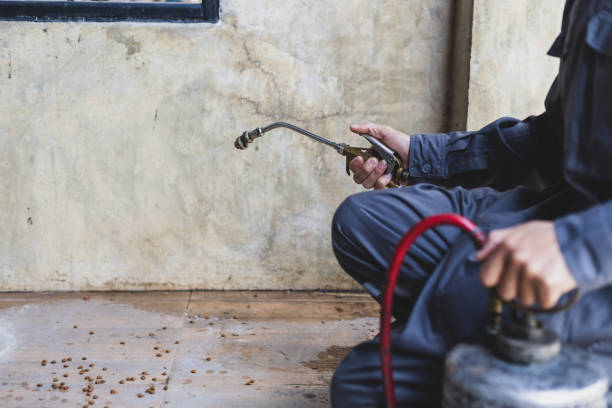 Professional Pest Control in Zion, IL